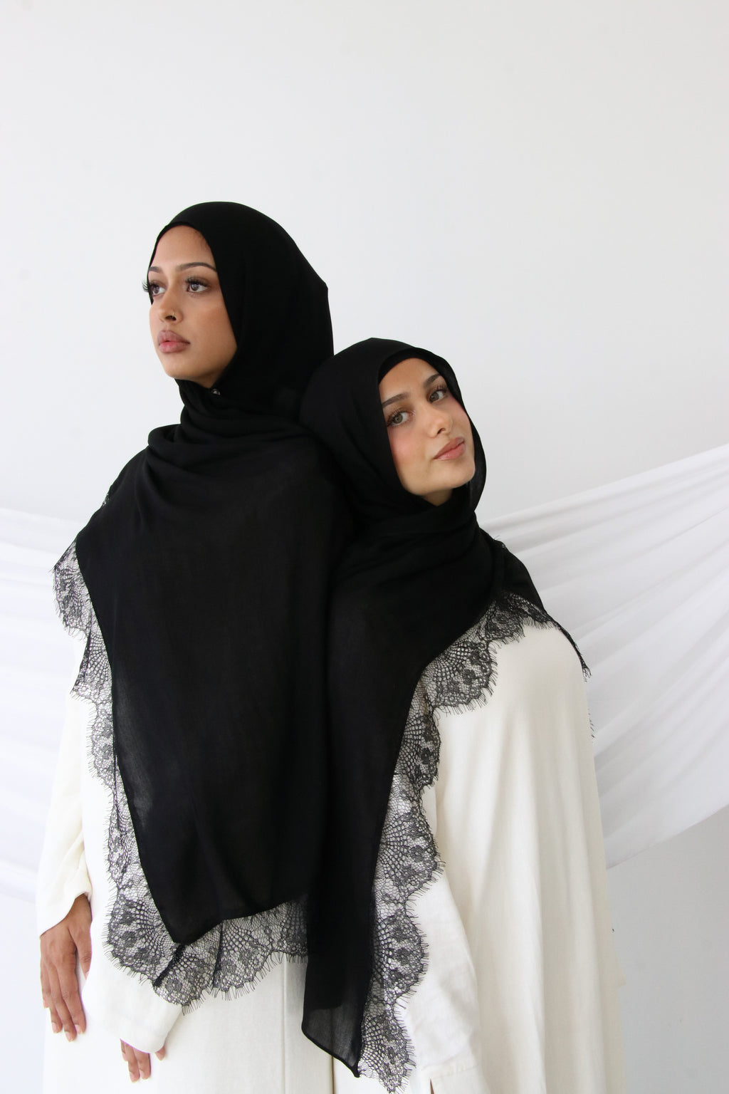 Midnight Lace Standard